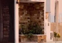 ¡Lo más tierno que vas a ver hoy! Esta fotografía de un perrito disfrutando del atardecer.