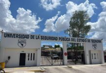 Ofrece USP espacios para cursar Derecho con enfoque en Seguridad Pública