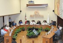 Aprueba IEE Sonora designación de regidurías étnicas para Guaymas, Etchojoa y Benito Juárez