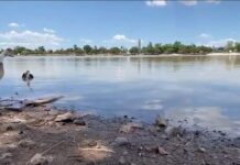 Situación Actual del Nivel de Agua en la Laguna del Náinari