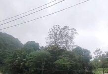 Así fue como quedó Puerto Rico tras el paso de huracán Ernesto.