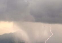 Gobierno del Estado recupera cubierta verde en terrenos para beneficio de productores ganaderos