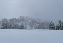 se registra una inusual nevada de hasta 4 pulgadas en montañas de California, EU.