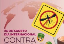 Llama Salud Sonora a no bajar la guardia ante el dengue por lluvias en el estado