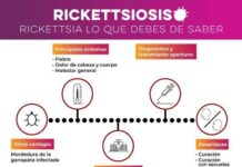 Salud Sonora mantiene a la baja mortalidad por rickettsiosis