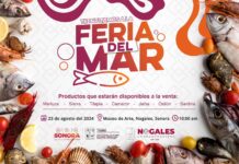 Realizará Gobierno de Sonora Feria del Mar en Nogales