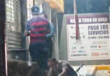 En Oaxaca, un trabajador de la calle alimenta a un perrito, con el dinero que ganó durante el día.