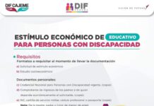 Inicia la Convocatoria para Acceder a los Estímulos Económicos 2024 para Personas con Discapacidad*