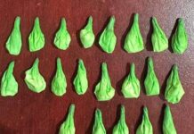 Incauta PESP envoltorios con sustancias prohibidas en operativos de HMO