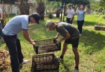Estudiantes normalistas cultivarán alimentos mediante sistema de agricultura ecológica