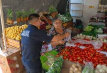 TRABAJA PROGRAMAS PREVENTIVOS EN CONSCIENCIA Y PREVENCIÓN SOBRE LA VIOLENCIA DE GÉNERO*
