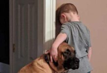 foto de un perrito uniéndose a su mejor amigo para compartir un castigo y no dejarlo solo, se volvió viral.