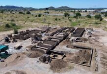 Gobierno de Sonora construye dos Clínicas del Bienestar Animal