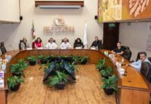 *Aprueba IEE Sonora cambio en la designación de regiduría plurinominal del PRD en Cajeme