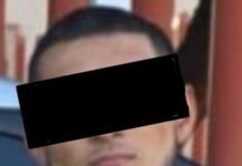 Colabora K-9 de la SSP en aseguramiento de sustancia prohibida en HMO*