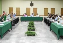 APRUEBA CABILDO INTEGRACIÓN DE COMISIONES DEL AYUNTAMIENTO
