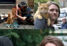 James Bowen, un ex@dicto a la her0!na y sin hogar, logró superar su adicción gracias a un gato callejero al que llamó Bob.