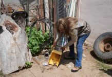 Sonora ocupa el penúltimo lugar nacional en casos de dengue en 2024; no registra defunciones