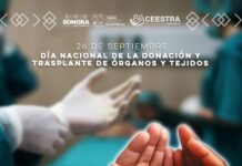 Invita Salud Sonora a decir sí a la donación de órganos y tejidos salva vidas