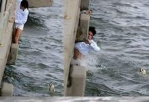 Le salvó la vida a un perrito atrapado debajo de un puente