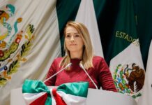 Importante adicionar principios de mínima intervención y no revictimización de menores de edad en juicios: Marcela «Maval» Valenzuela