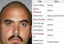 El es Noel Albert Guglielmi, un actor estadounidense