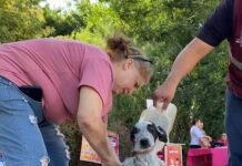 IMPACTA FAVORABLEMENTE JORNADA DE SALUD CANINA Y FELINA EN LA MAXIMILIANO R. LÓPEZ*