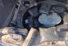 Decomisa Gobierno de Sonora sustancias prohibidas y detiene a dos personas