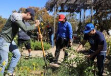 Futuros docentes se capacitan para crear huertos escolares sustentables
