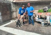 Ha recorrido México al lado de sus dos perritos durante seis meses.