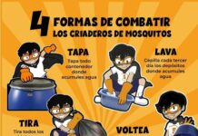 Sonora en los últimos lugares a nivel nacional en casos confirmados de dengue