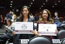 PERSONAS CON DISCAPACIDAD TENDRÁN DERECHO A PENSIÓN GRACIAS A REFORMA: ANABEL ACOSTA