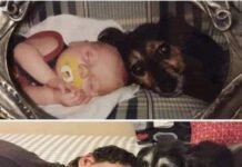 Yo aún no tenía conciencia y tú ya estabas conmigo, me cuidabas y me acompañabas durante todos los días de mi vida.