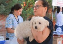 CON ÉXITO DIO INICIO EN CAJEME LA JORNADA DE SALUD CANINA Y FELINA