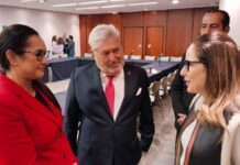 Propone la diputada Iris Sánchez Chiu fortalecer a Sonora como El Corazón Minero de México