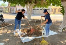 SSPM Y AUTORIDADES DE LOS TRES NIVELES DE GOBIERNO, COADYUVAN EN LIMPIEZA DE PARQUE ALAMEDA 2