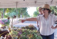 INICIA CON GRAN ÉXITO LA EXPO CACTUS Y SUCULENTAS 2024