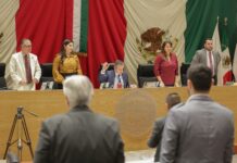 Incorpora Congreso de Sonora propuestas a la Ley de Protección y Bienestar Animal