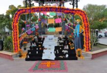 CIERRE VIBRANTE Y COLORIDO DEL FESTIVAL DE LAS CALACAS 2024 EN CAJEME