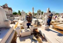 Sonora en los primeros lugares a nivel nacional con menos casos de dengue confirmados