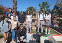 Recolecta Cobach Sonora dos toneladas de material reciclable