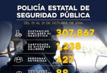 Asegura Gobierno de Sonora a 427 personas por probables delitos