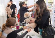 LLEVA GOBERNADOR DURAZO ATENCIONES VETERINARIAS GRATUITAS Y CIRUGÍAS DE ESTERILIZACIÓN AL NORTE DE HERMOSILLO