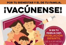 Mantiene Gobierno de Sonora buenos resultados con acciones contra el dengue