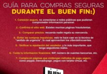 Emite Gobierno de Sonora guía para compras seguras en línea durante el Buen Fin*