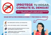 ELIMINA AYUNTAMIENTO CERCA DE 87 MIL KILOGRAMOS DE CACHARRO EN COLONIAS DE CAJEME*