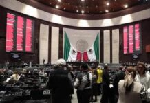 Diputados avalan en lo general la desaparición de varios órganos autónomos