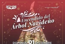 INVITA DIF CAJEME AL ENCENDIDO DEL ÁRBOL NAVIDEÑO 2024