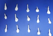 Incauta Gobierno de Sonora sustancias prohibidas en Cajeme: SSP