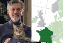 El es Diego, el gatito que pasó de vivir en las calles de la CDMX a vivir en París, con el ex embajador francés Jean-Pierre.